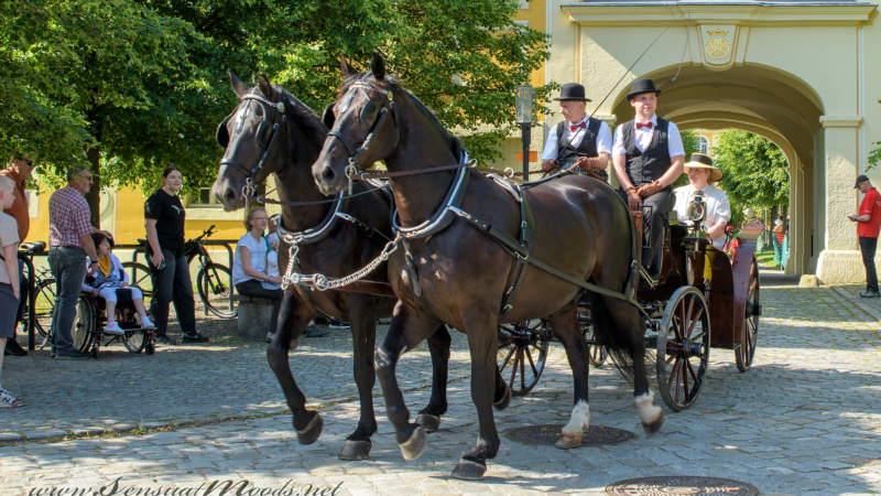 gk_20250615_1203-1