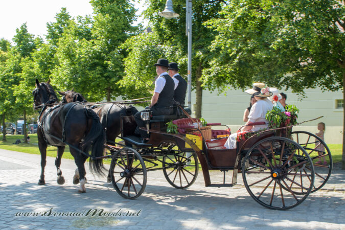 gk_20250615_1208-1