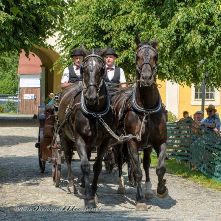 gk_20250615_1990-1