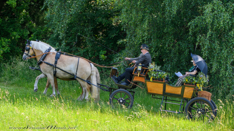 gk_20250615_0605-1