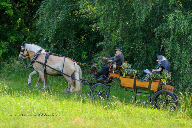gk_20250615_0605-1