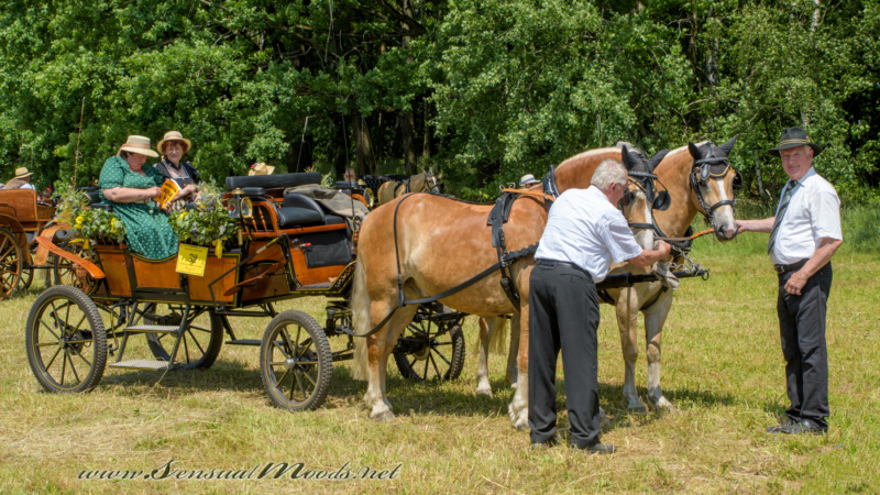 gk_20250615_1657-1