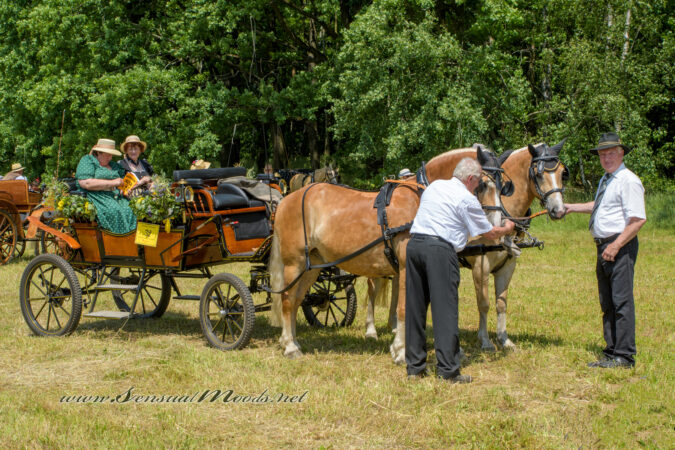 gk_20250615_1657-1