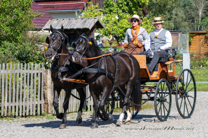 gk_20250831_0143-1
