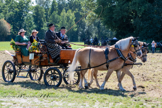gk_20250831_0518-1
