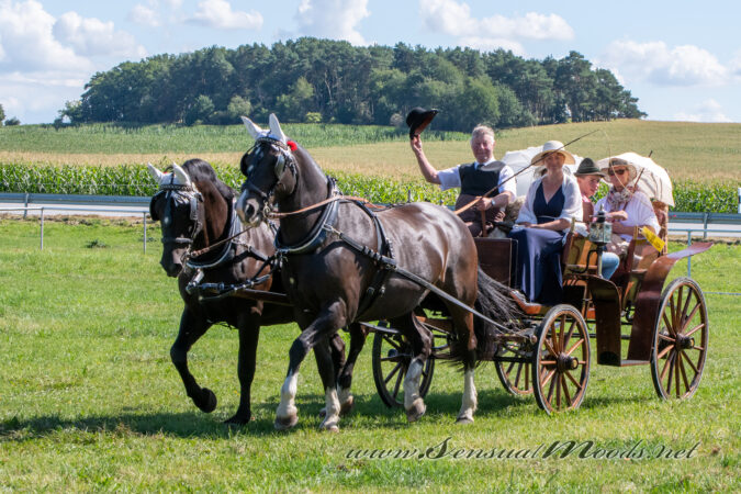 gk_20250831_0641-1