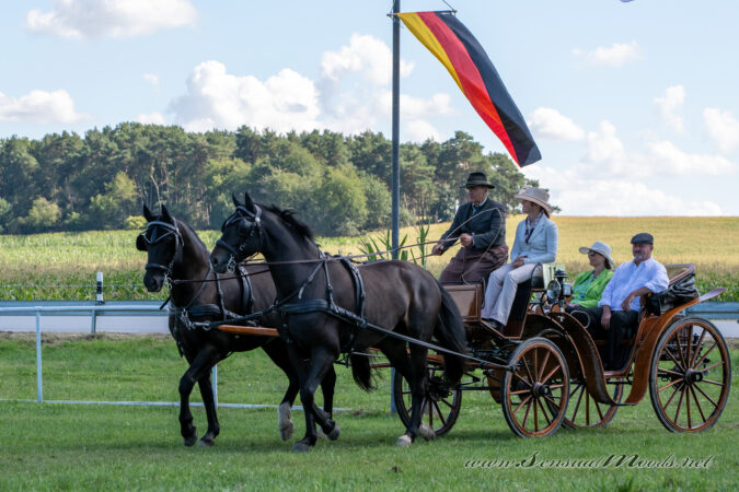 gk_20250831_0818-1