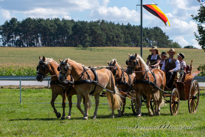 gk_20250831_0903-1