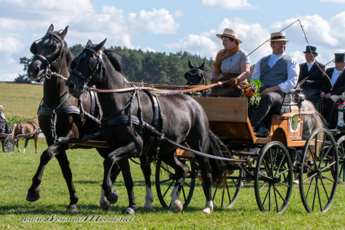 gk_20250831_1142-1