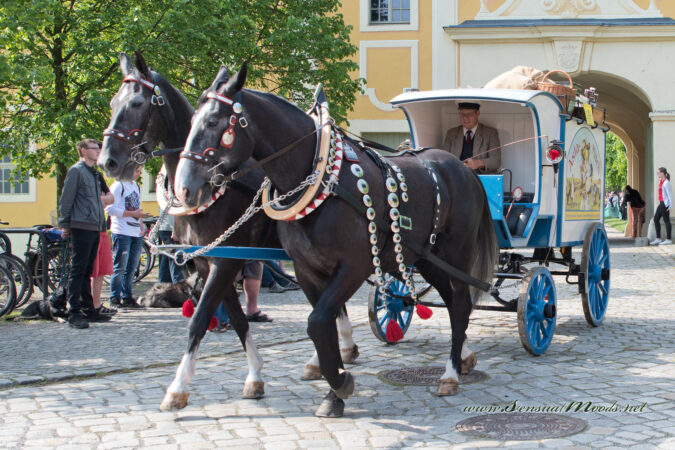 gk_20170521_0725_1