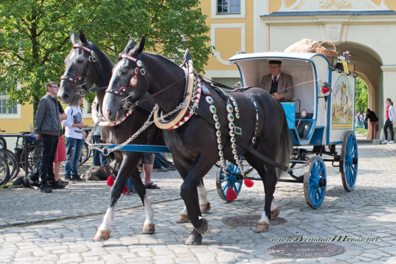 gk_20170521_0725_1