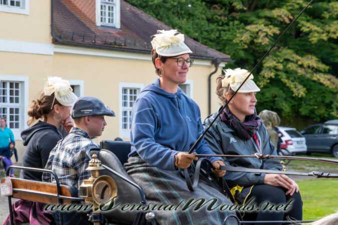 gk_20250914_1077-1_1800_wsgn