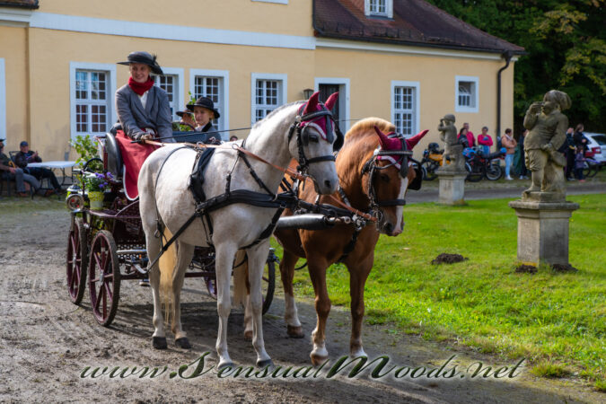 gk_20250914_1079-1_1800_wsgn
