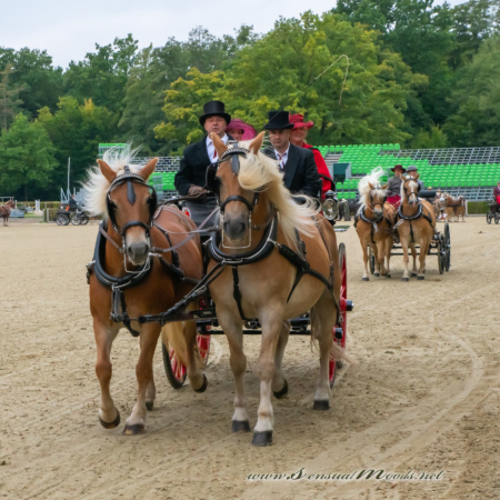 gk_20250927_0227-1_1800_wsgn