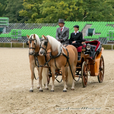 gk_20250927_0457-1_1800_wsgn