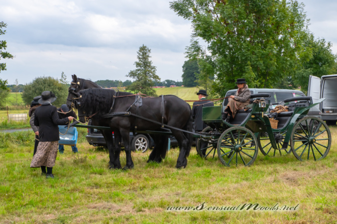 gk_20250927_0722-1_1800_wsgn