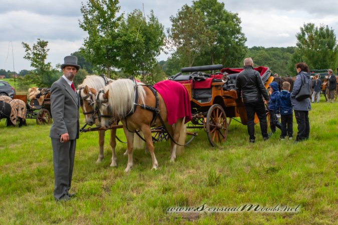 gk_20250927_0733-1_1800_wsgn