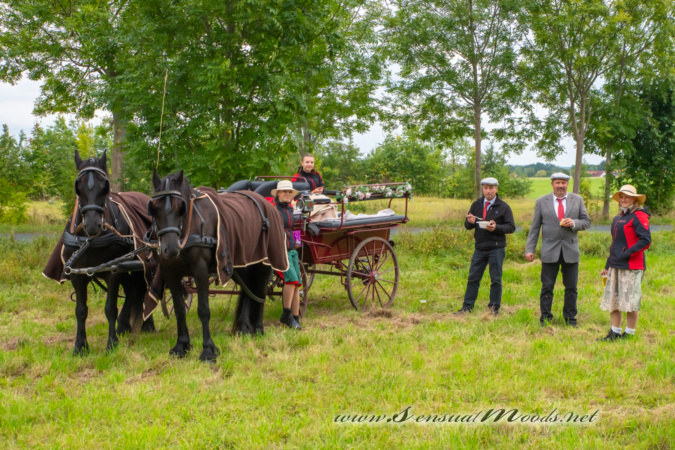 gk_20250927_0736-1_1800_wsgn