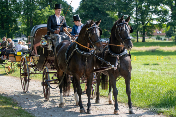 gk_20250615_0203-1_1800-1