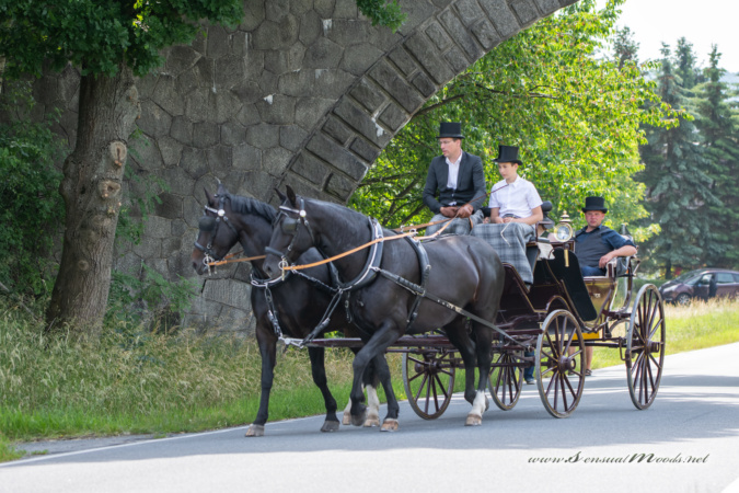 gk_20250615_0302-1_1800-1