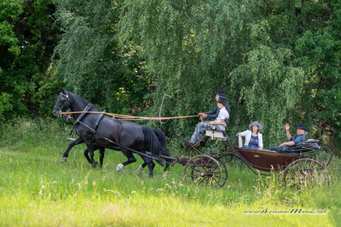 gk_20250615_0306-1_1800-1