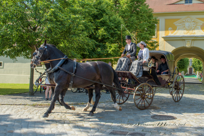 gk_20250615_1021-1-1