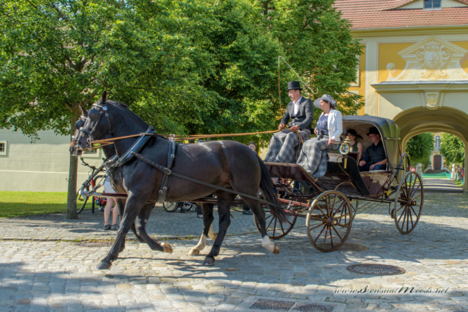 gk_20250615_1021-1_1800-1