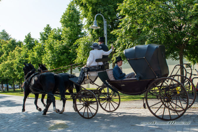 gk_20250615_1025-1_1800-1