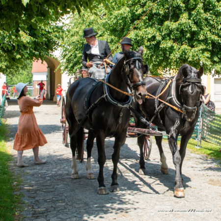 gk_20250615_1773-1_1800