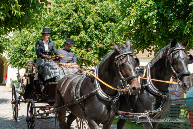 gk_20250615_1776-1_1800-1