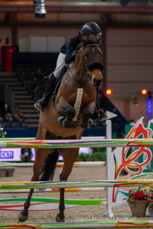 GK_20260116_0284-1_1800_wsgn