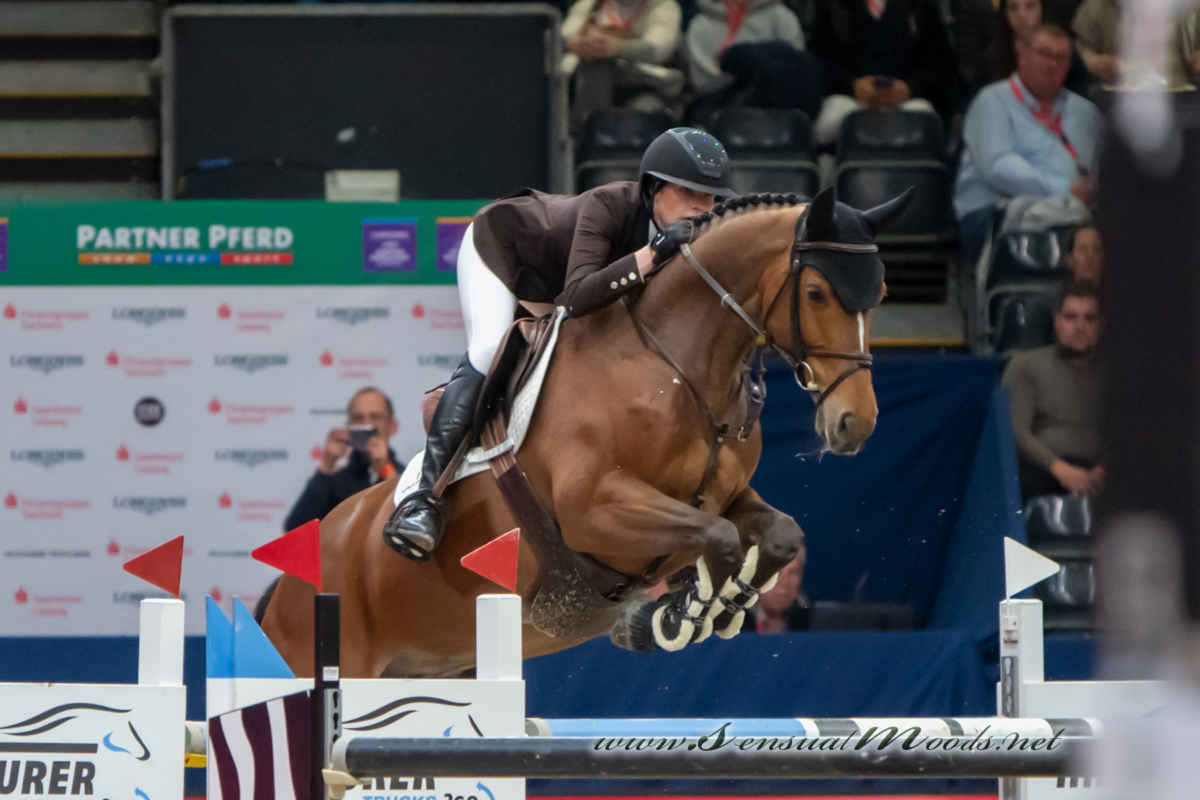 GK_20260116_0745-1_1800_wsgn