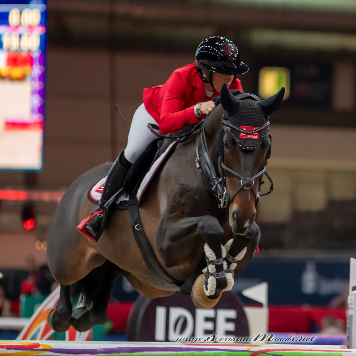 GK_20260116_0908-1_1800_wsgn