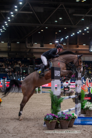 GK_20260116_1484-1_1800_wsgn