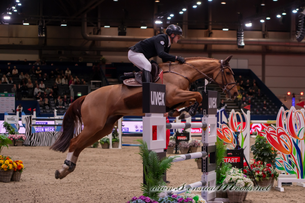 GK_20260116_1526-1_1800_wsgn