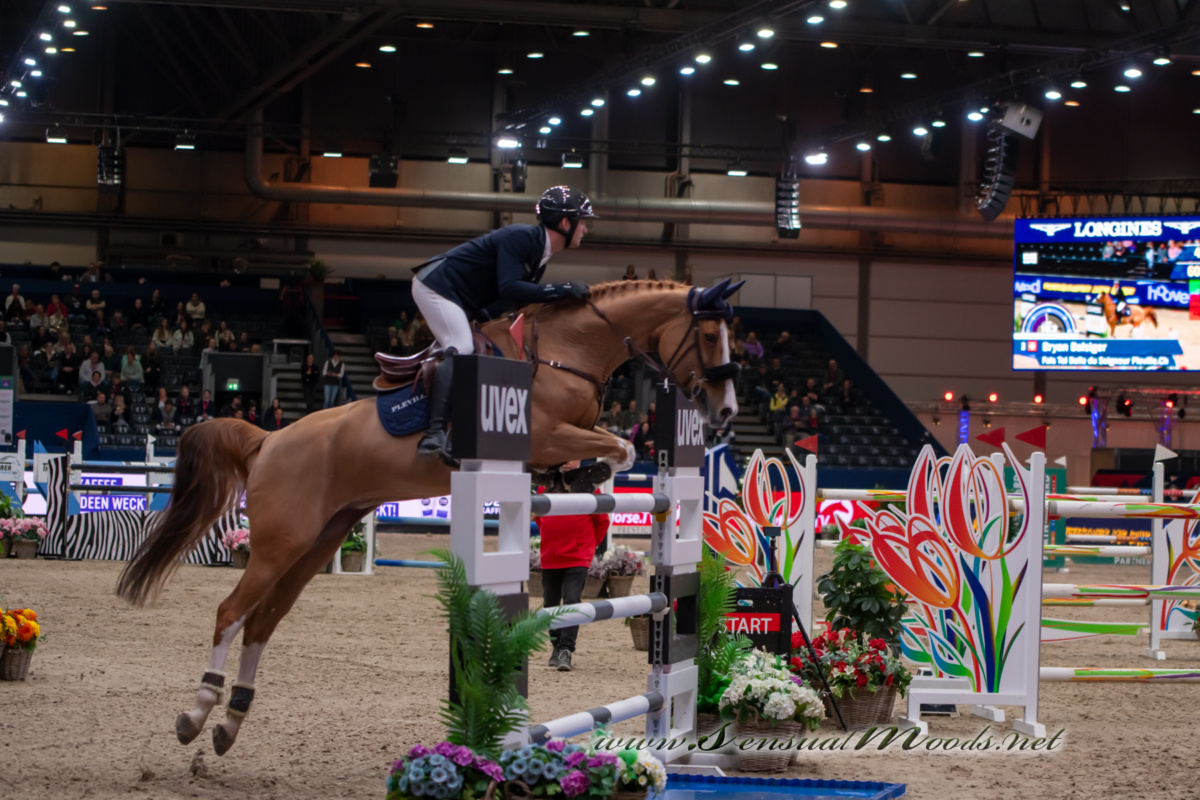 GK_20260116_1687-1_1800_wsgn