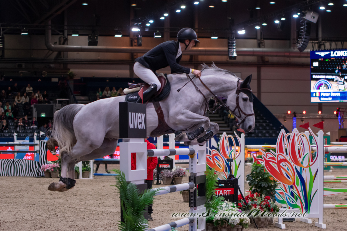 GK_20260116_1834-1_1800_wsgn