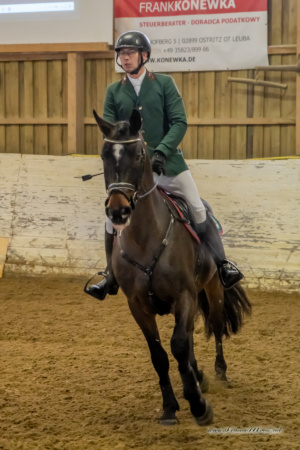 gk_20260214_0020-1_1800