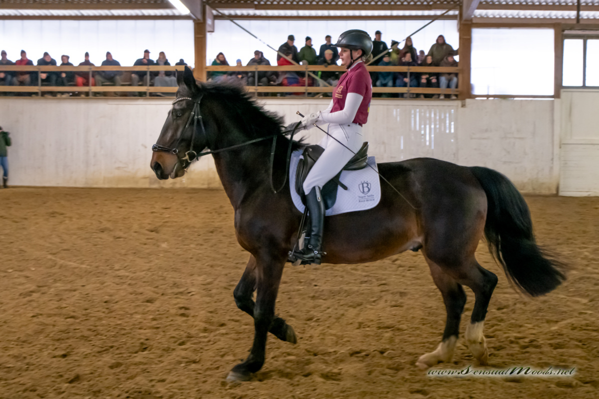 gk_20260214_0128-1_1800