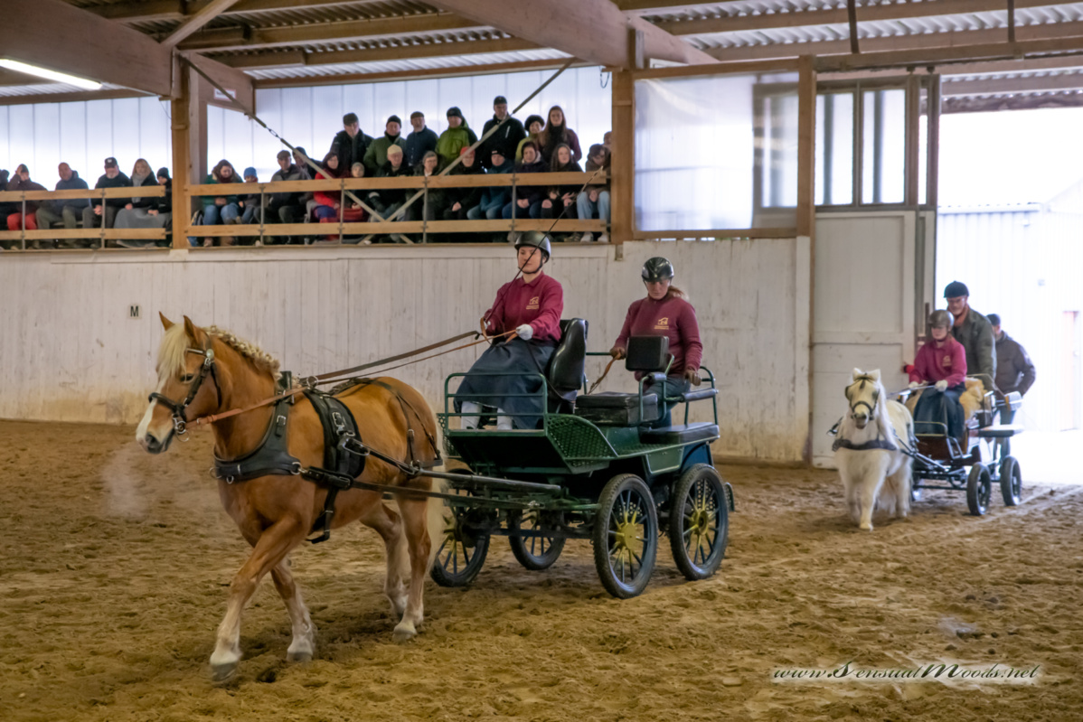 gk_20260214_0153-1_1800