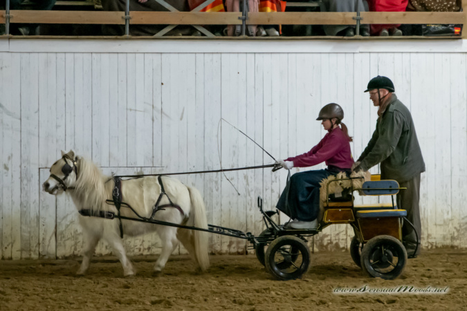 gk_20260214_0158-1_1800