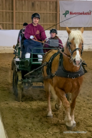 gk_20260214_0161-1_1800