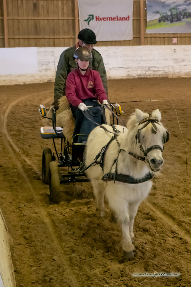 gk_20260214_0163-1_1800