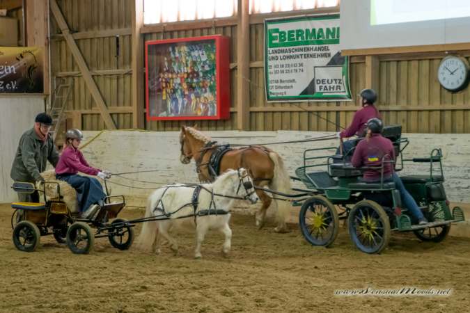 gk_20260214_0167-1_1800