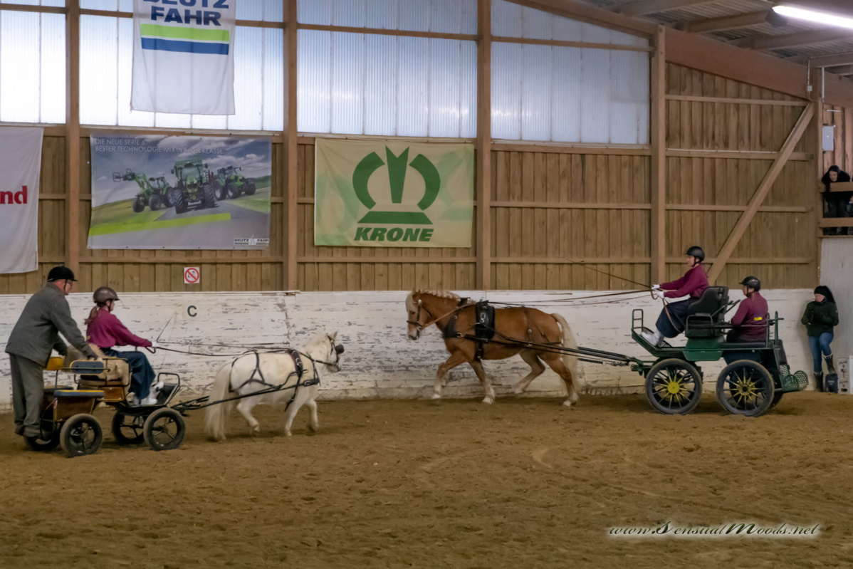 gk_20260214_0174-1_1800