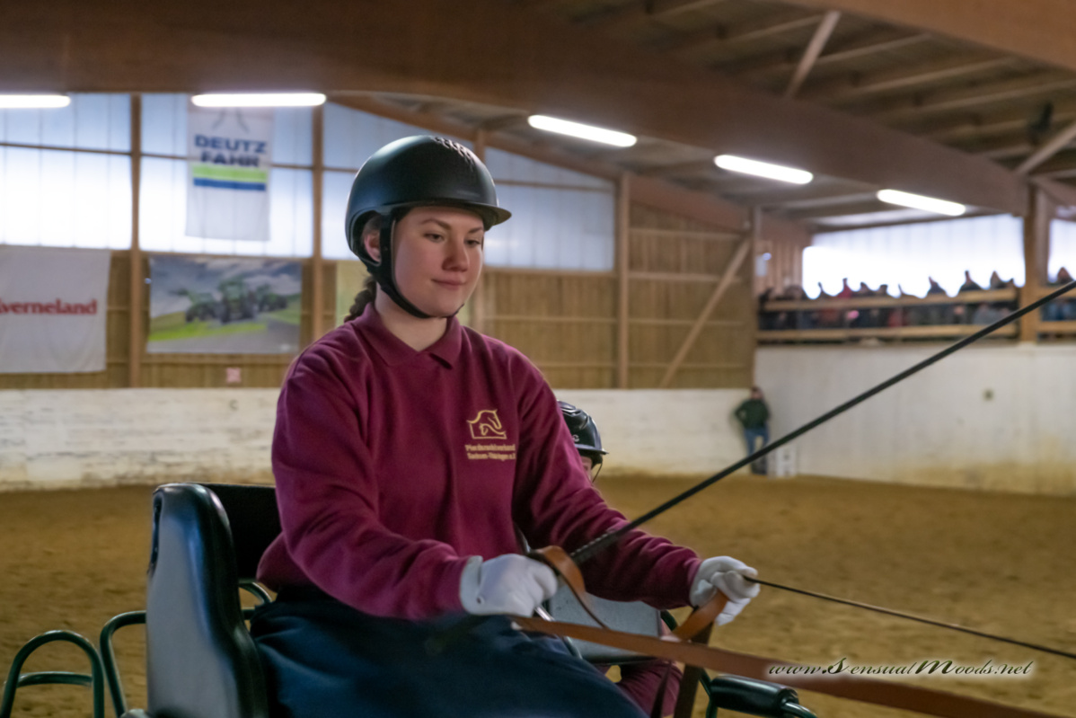 gk_20260214_0181-1_1800