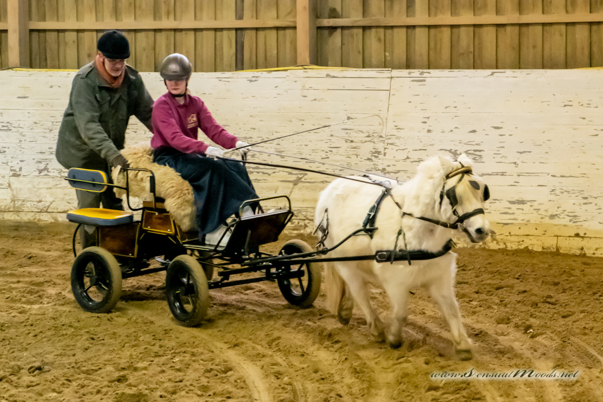 gk_20260214_0184-1_1800