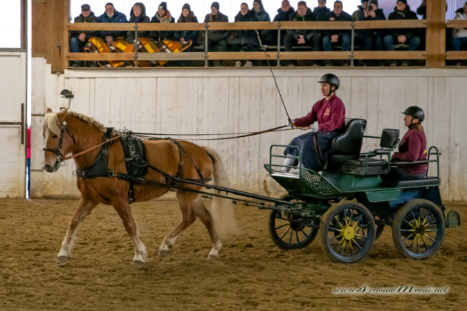 gk_20260214_0188-1_1800