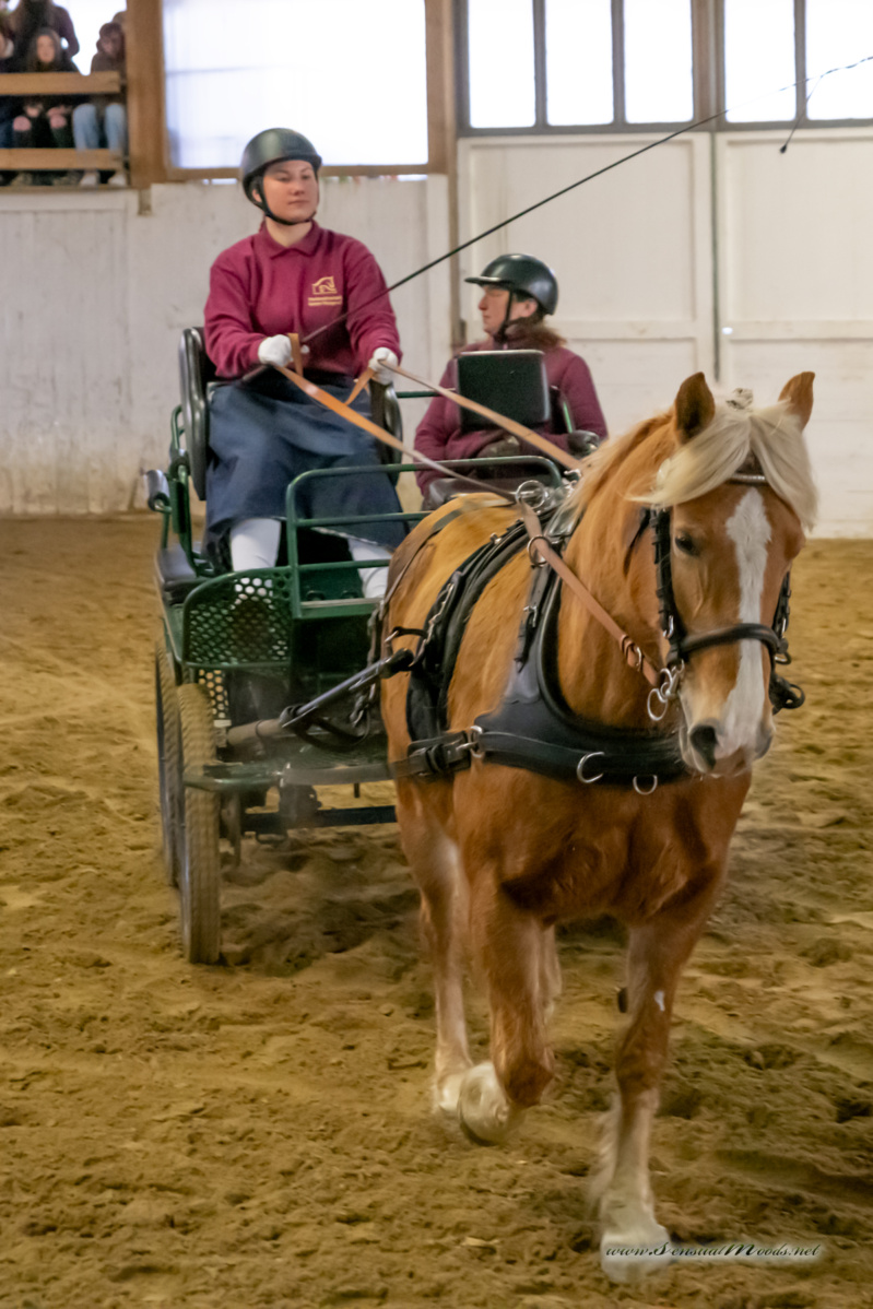 gk_20260214_0192-1_1800