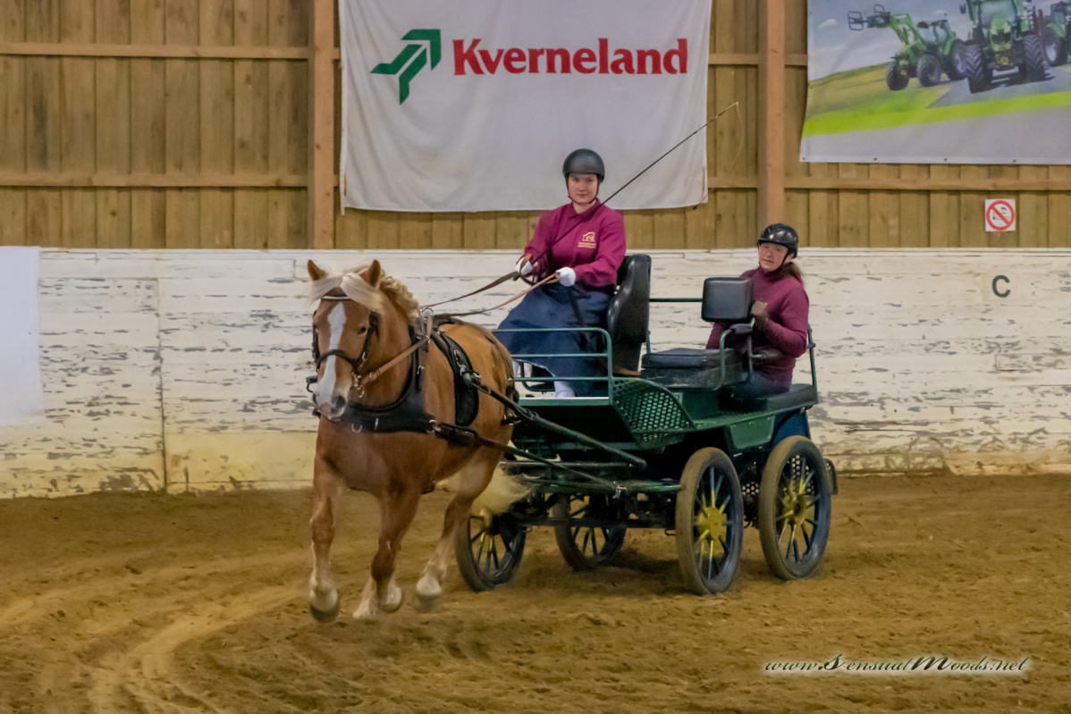 gk_20260214_0202-1_1800